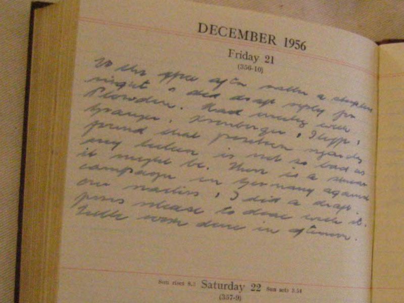 Hinton diary entry